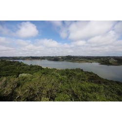 Nível das barragens da Grande Curitiba chega a 100% pela primeira vez desde a crise hídrica